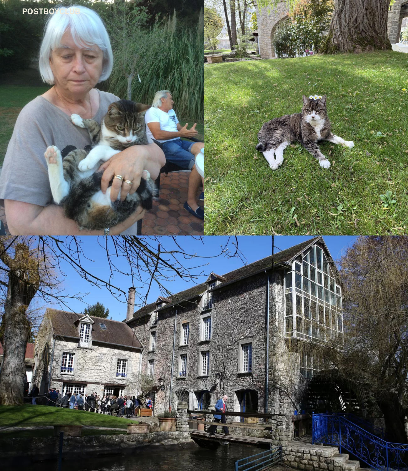 “Il a rejoint Cloclo là-haut” : après vingt ans passés au moulin de Dannemois, la disparition de Pompon bouleverse les visiteurs