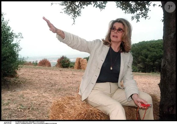 Après 35 ans ici, Catherine Deneuve a vendu son château de 1200m² pour des millions d’euros : le domaine brille toujours et a même été récompensé !